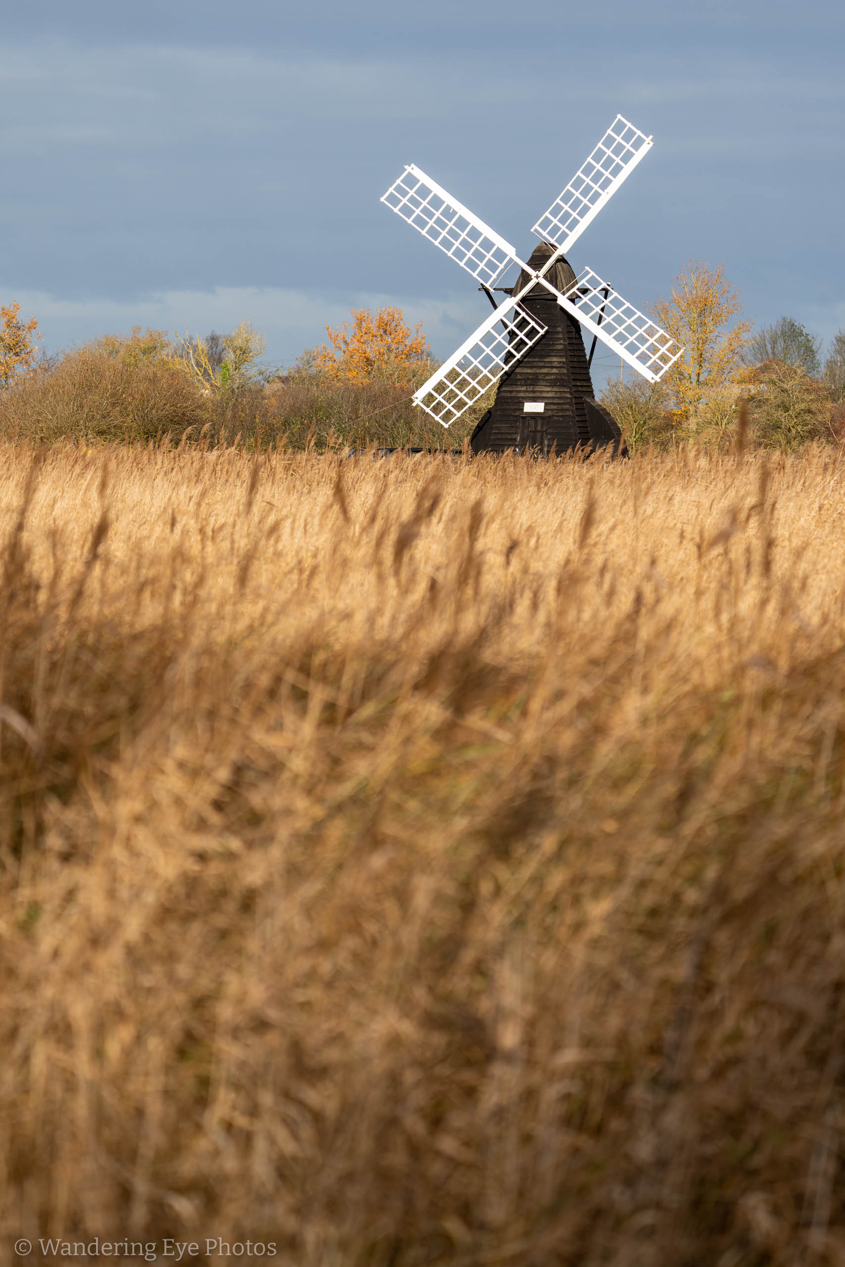 11.24 12.24.56   DSC01633